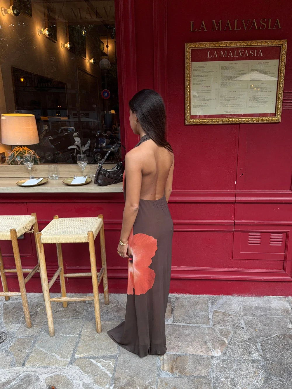 Columbine Maxi Dress in Brown with Red Flowers