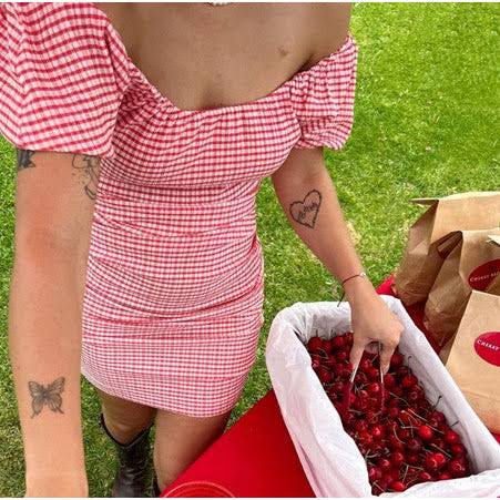 Delphi Dress in Strawberry