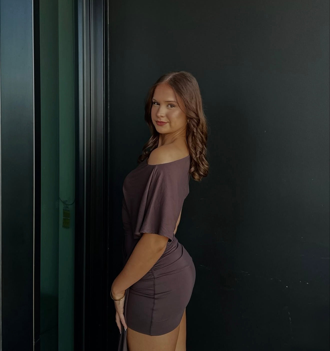Lorenze Mini Dress in Dark Mahogany