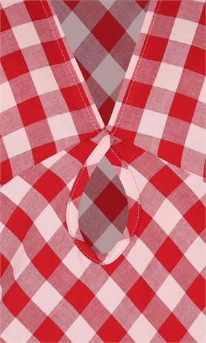 Clover Dress in Red Gingham